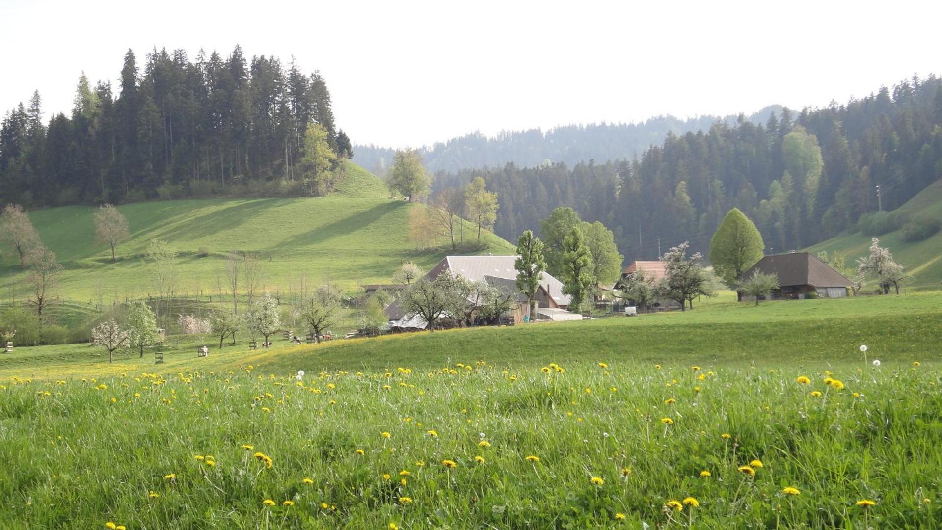 Landgasthof-Hotel Adler Langnau Bagian luar foto